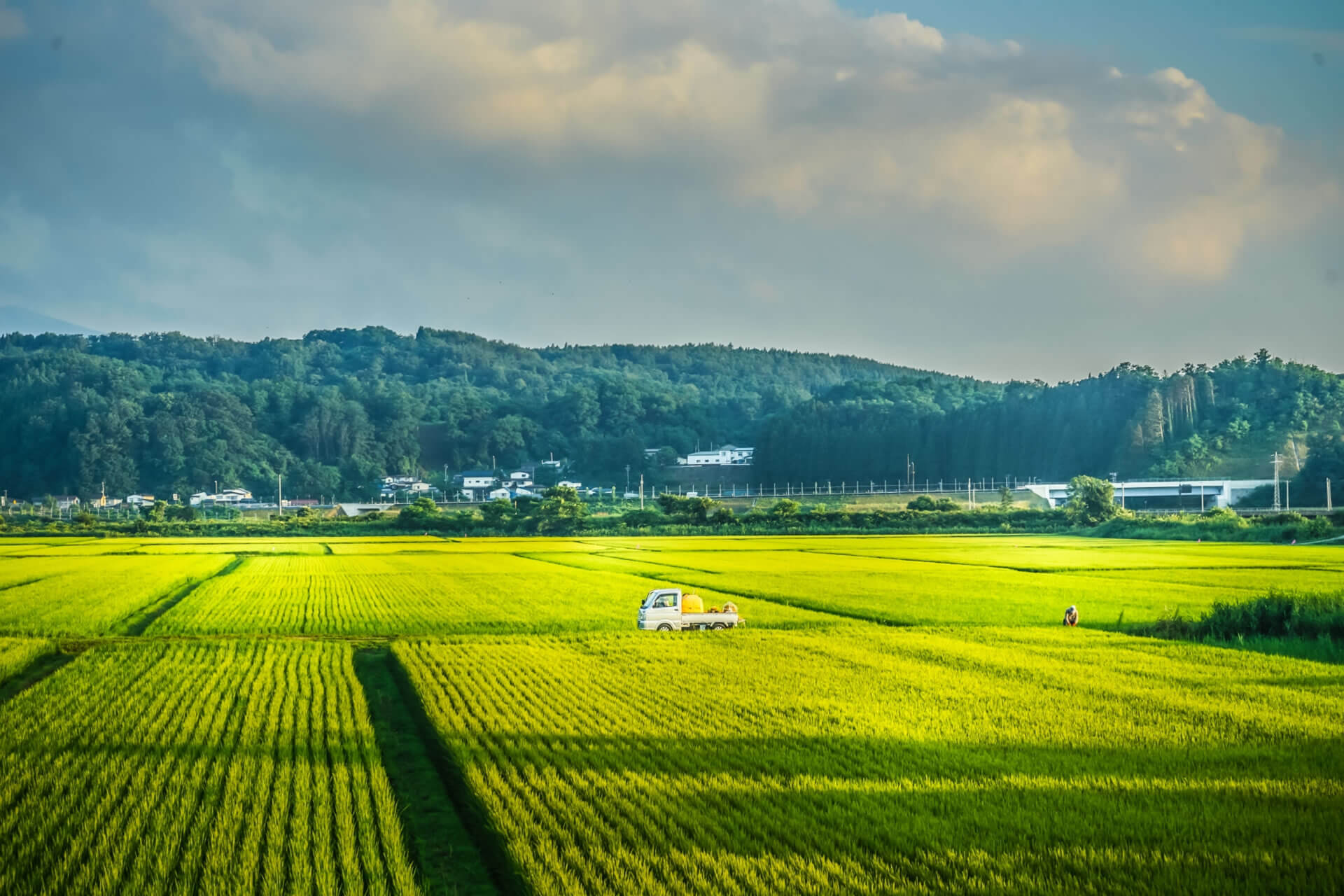 田園風景イメージ